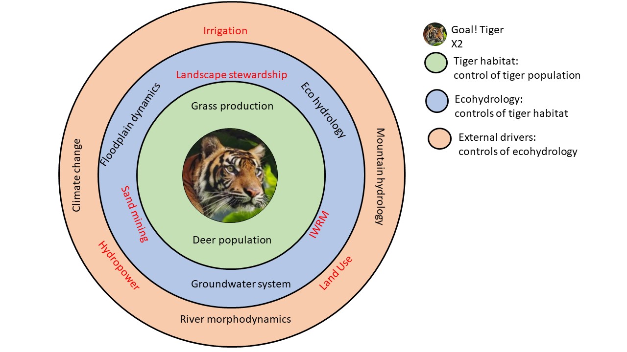 Save the tiger! Save the Grasslands! Save the Water! | Description of